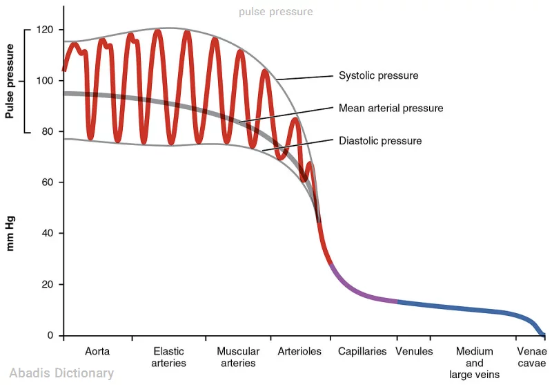 pulse pressure